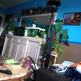 aquariophile Gilou009