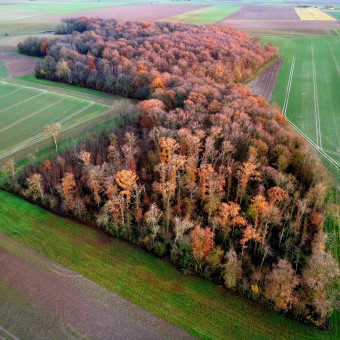 aquariophile AlexandreV