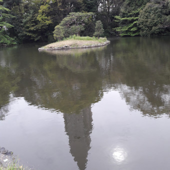 aquariophile killerflo2020