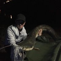 aquariophile dylan-facon