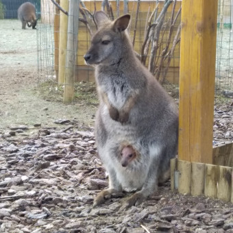 aquariophile Timeoetpapa