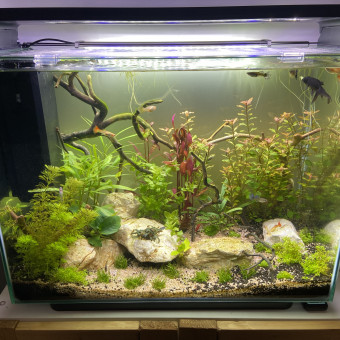 aquariophile Powdeur