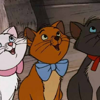 aquariophile ocea.nee