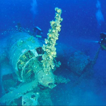 aquariophile HEPATUS