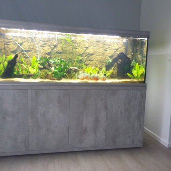 aquariophile Boisleve