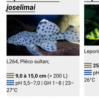 aquariophile Kevin62600