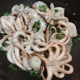 aquariophile Burtrey