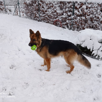 aquariophile Armageddon