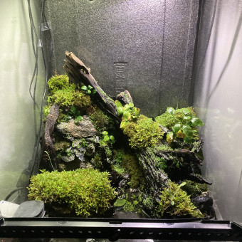 aquariophile Hugoaquario
