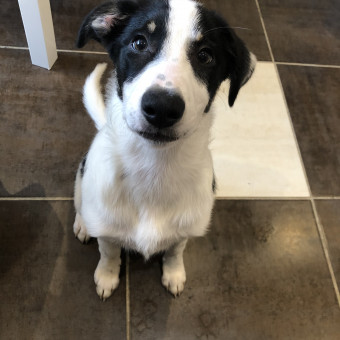 aquariophile Tatiana696