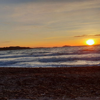 aquariophile oliveuss75