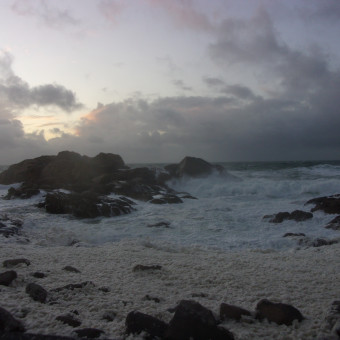 aquariophile carole29