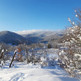 aquariophile ERIC_DE_MONTFORT