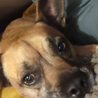 aquariophile daftbizkit