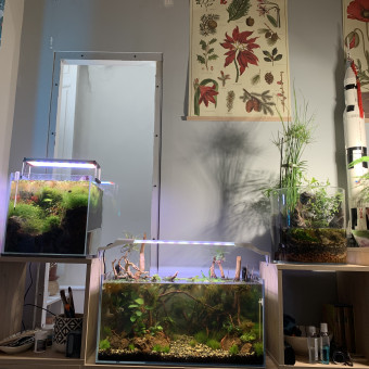 aquariophile crecredu44