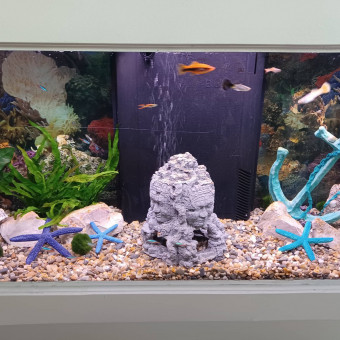 aquariophile Camargue