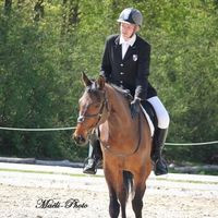 aquariophile guillaume-chazottes