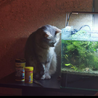 aquariophile AntheaAndKo