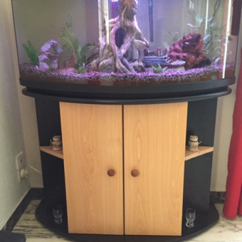 aquariophile loupette