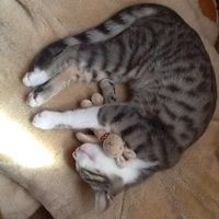 aquariophile eric-daunay