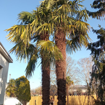 aquariophile matthieu-terriere