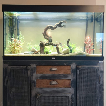 aquariophile Toon-collection