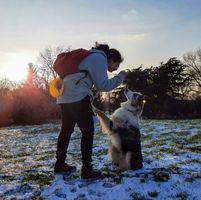 aquariophile O.osibo