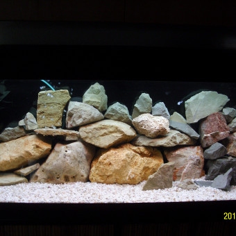 aquariophile aqua34
