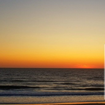 aquariophile solene_20