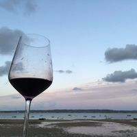 aquariophile CarineD