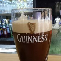 aquariophile sylvain-decroos