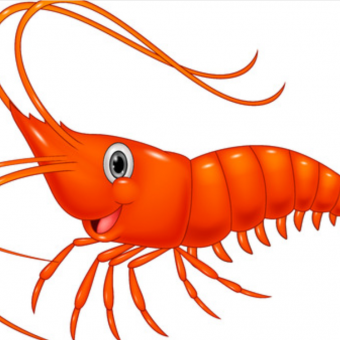 aquariophile Moruedeaudouce