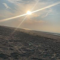 aquariophile amelie-dej