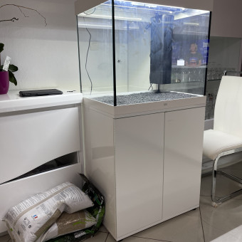 aquariophile Jeremy29