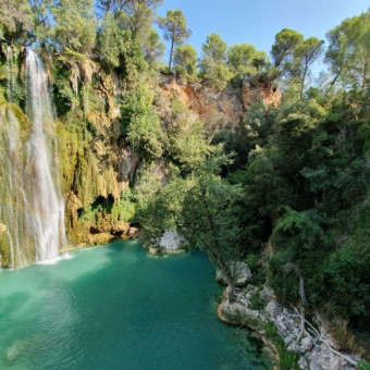 aquariophile AMATEUR31