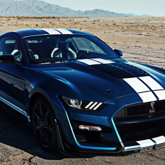 aquariophile Kraken56