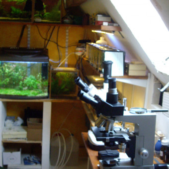 aquariophile leboss60