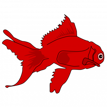 aquariophile ricou43