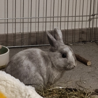 aquariophile ninon-mabileau