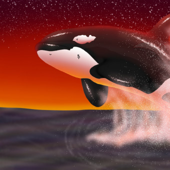 aquariophile Soukyte