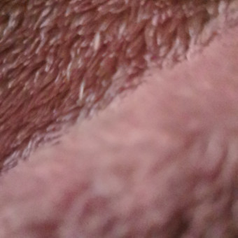 aquariophile cindy-fabre