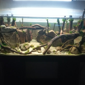 aquariophile Aquamax34