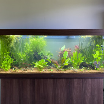 aquariophile legars