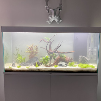 aquariophile Albm34