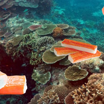 aquariophile Surimi
