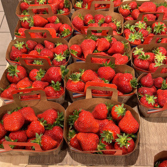 aquariophile Legfish74