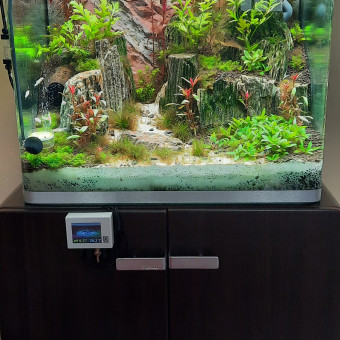 aquariophile euldinque59