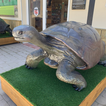aquariophile Turtle.lvx