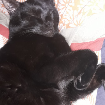 aquariophile Alycia27