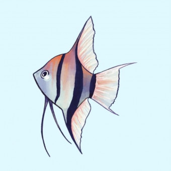 aquariophile Rich09